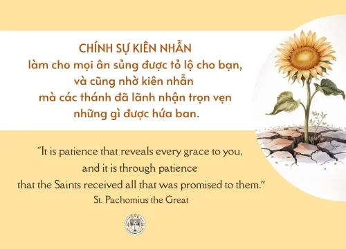 Ý lực sống - ngày 27/2/2026