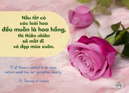 Ý lực sống - ngày 27/6/2025