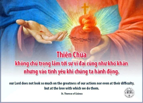 Ý lực sống - ngày 28/2/2024