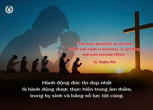 Ý lực sống - ngày 28/6/2026