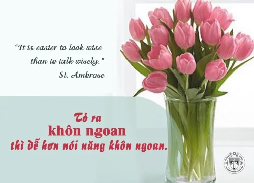 Ý lực sống - ngày 29/7/2025