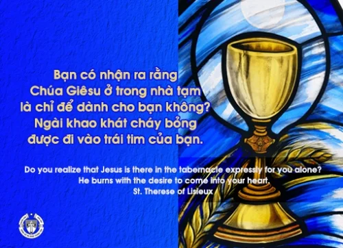 Ý lực sống - ngày 3/4/2024