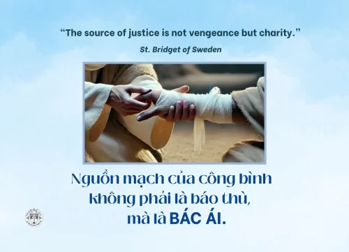 Ý lực sống - ngày 3/5/2026
