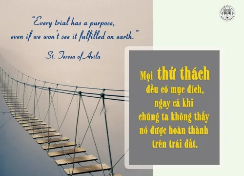 Ý lực sống - ngày 3/6/2025