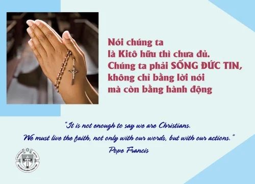 Ý lực sống - ngày 3/8/2025