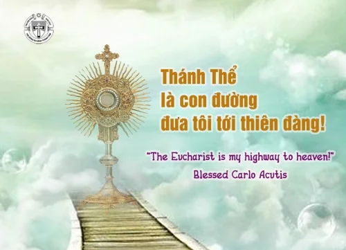 Ý lực sống - ngày 30/11/2025