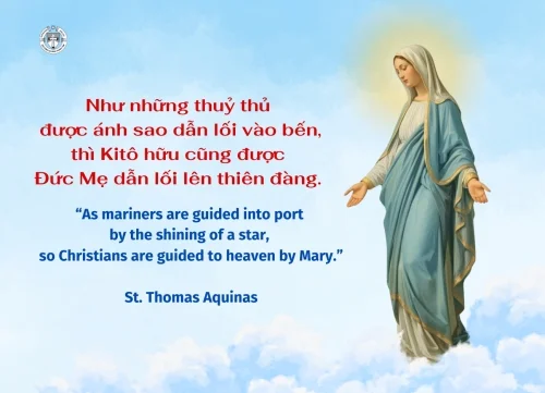 Ý lực sống - ngày 30/5/2026