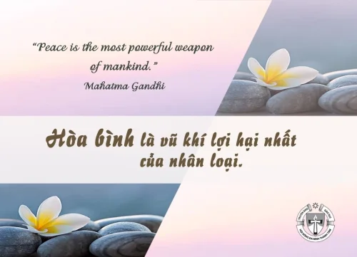 Ý lực sống - ngày 30/7/2025