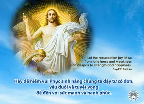 Ý lực sống - ngày 31/3/2024