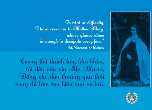 Ý lực sống - ngày 31/5/2024