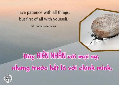Ý lực sống - ngày 5/2/2025