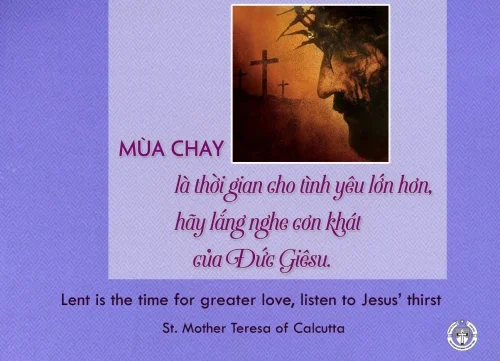 Ý lực sống - ngày 5/3/2025