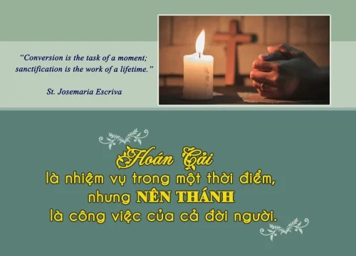 Ý lực sống - ngày 5/6/2025