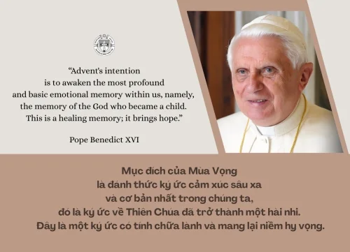 Ý lực sống - ngày 6/12/2025