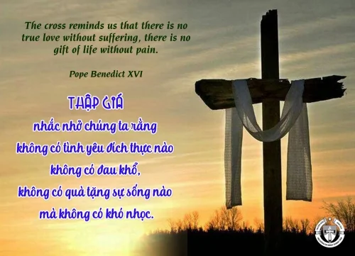 Ý lực sống - ngày 6/3/2025