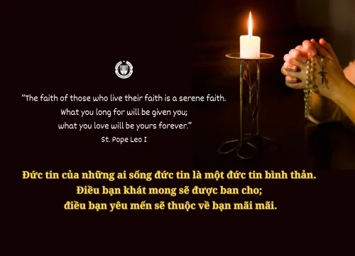 Ý lực sống - ngày 7/2/2026