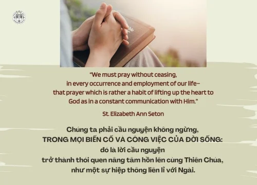 Ý lực sống - ngày 7/8/2026