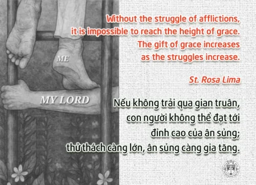 Ý lực sống - ngày 8/10/2026