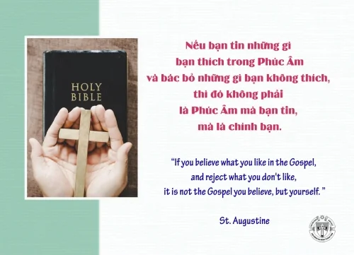 Ý lực sống - ngày 8/11/2025