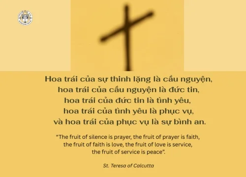 Ý lực Sống - ngày 8/12/2015