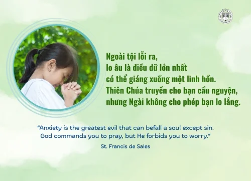 Ý lực sống - ngày 9/5/2026
