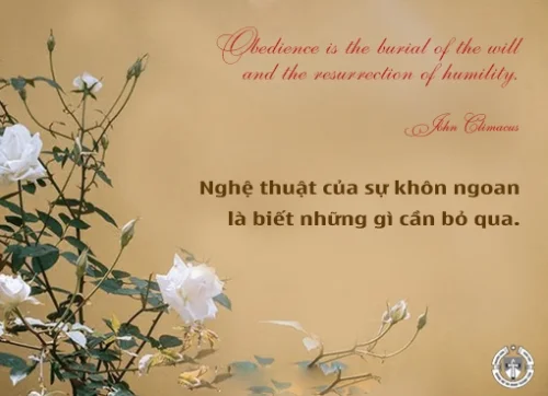 Ý lực sống - ngày 9/7/2024
