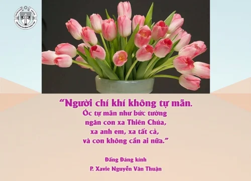Ý lực soonga - ngày 17/8/2025