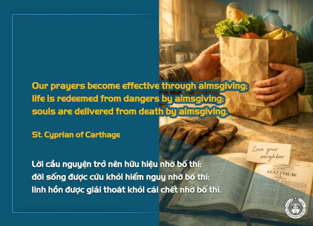 Ý lực sống - ngày 20/10/2026